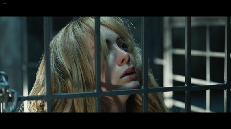 ペット　檻の中の乙女：目が覚めたら檻の中。恐怖に震えるホリー