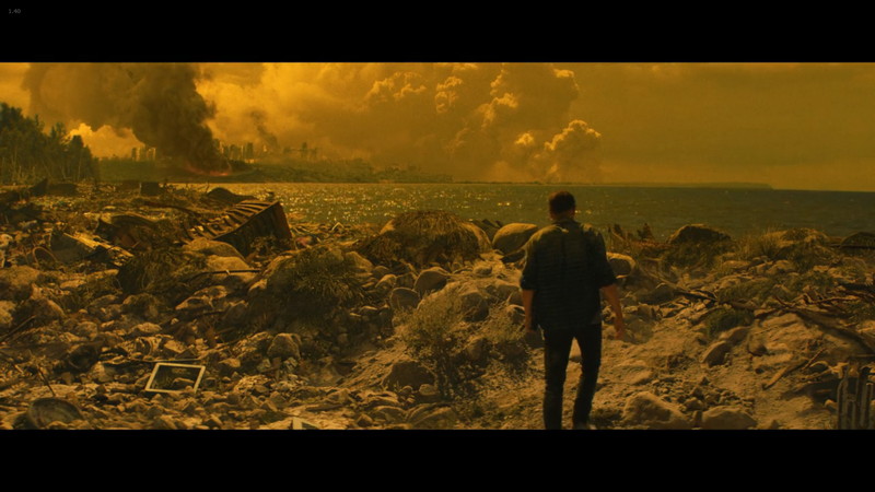 シアトルの近くまできたウィル