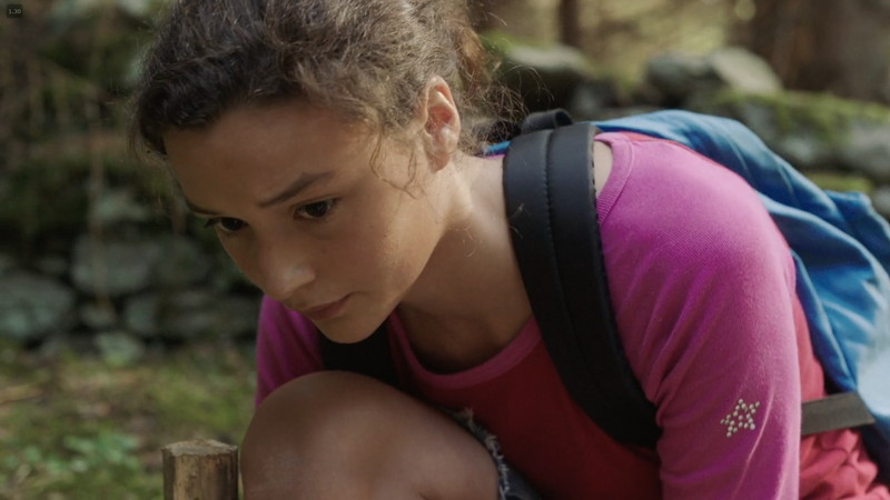 【80点】Netflix独占「ル・シャレー 離れた13人」評価と感想、考察：子供アリス