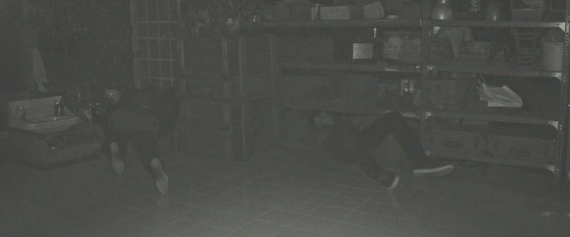 真っ暗闇で逃げ惑うロッキーとアレックス