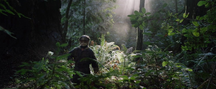 「バード・ボックス」評価と感想：幻聴と戦う「ボーイ」