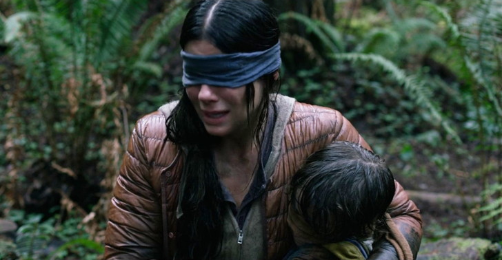 【Netflix・映画感想】「バードボックス」の魅力２個。目を開けたら即死・・・