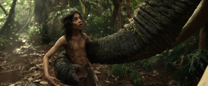 ゾウに助けられるモーグリ