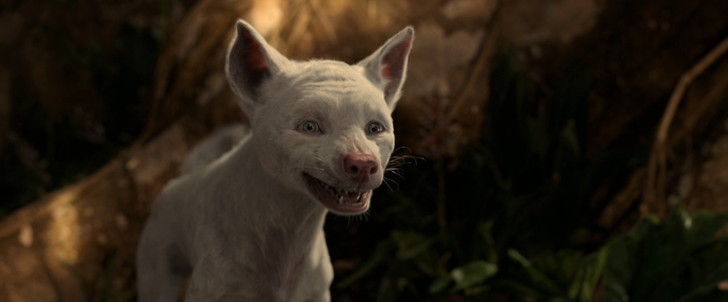 いつも優しかったブート