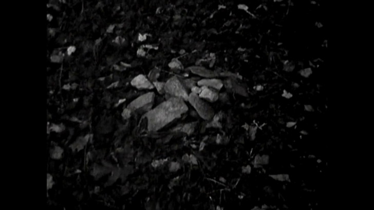 森に積まれた石