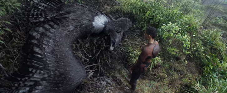 【感想】「アフター・アース」の魅力３個。狂暴化した地球での脱出サバイバル： 自分を救ってくれた「鳥」に感謝するキタイ