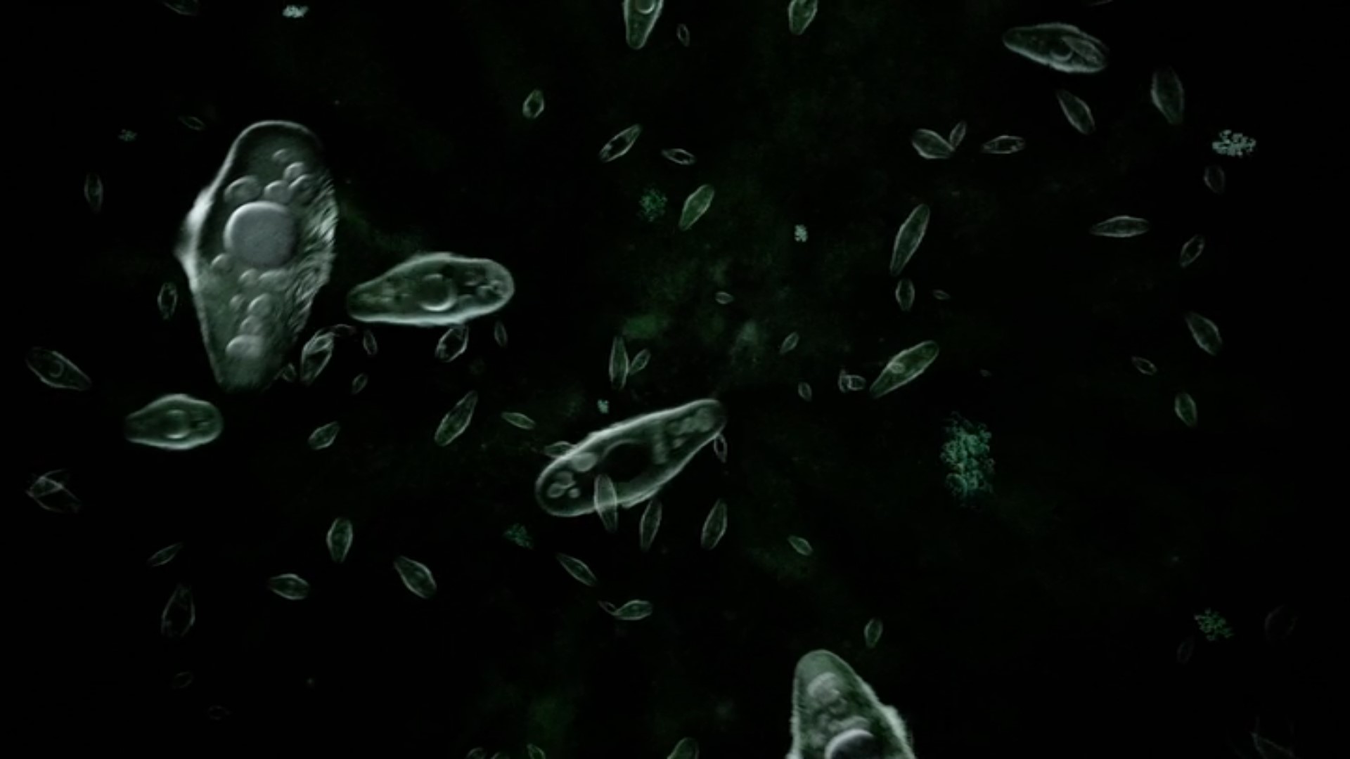 【感想】「宇宙戦争（2005）」の魅力６個。圧倒的な侵略者を前に、何ができるのか？： 「敵の弱点」を知った時、自分の命の大切さに気付く