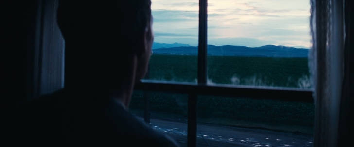 夜明け、とうもろこし畑を眺めるクーパー